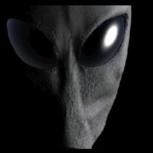 Meet your Posher, Jeff